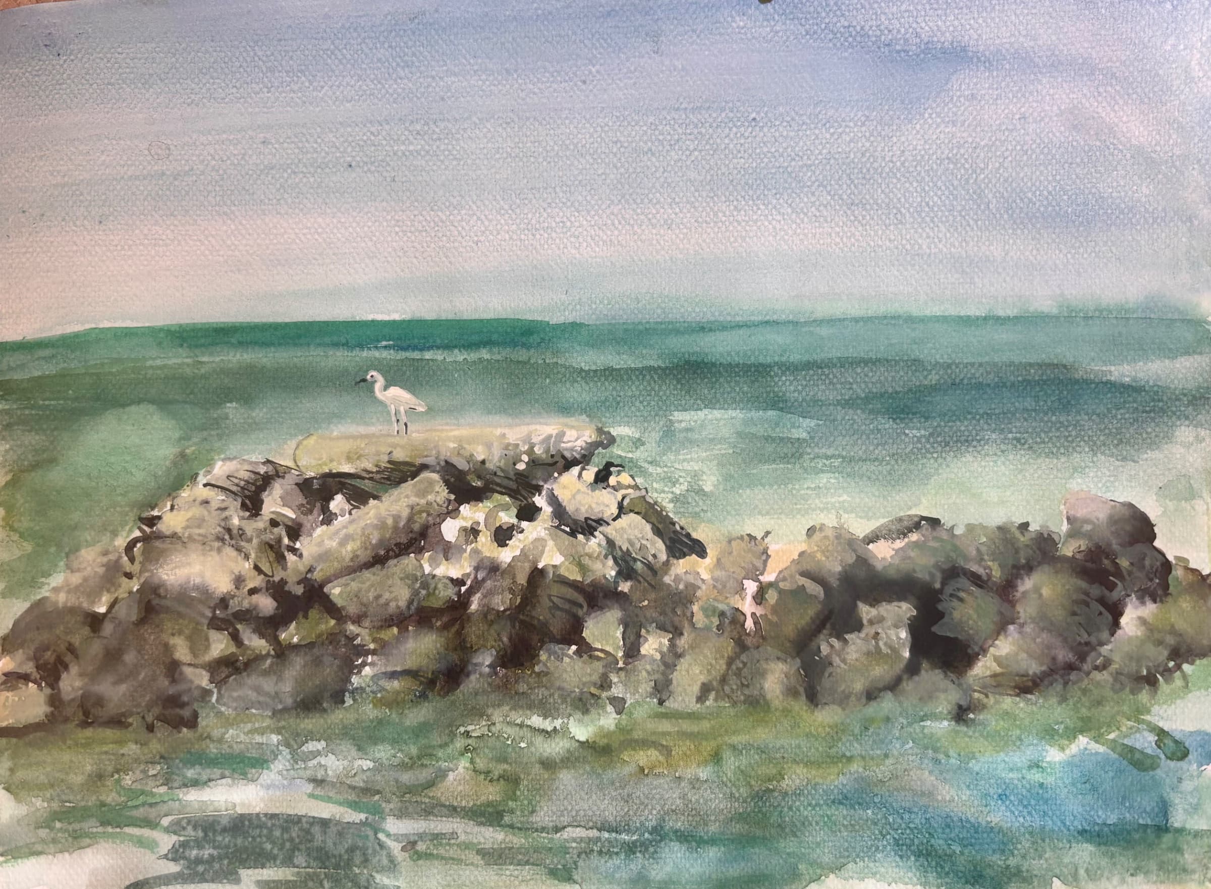 the tiny island and the birds