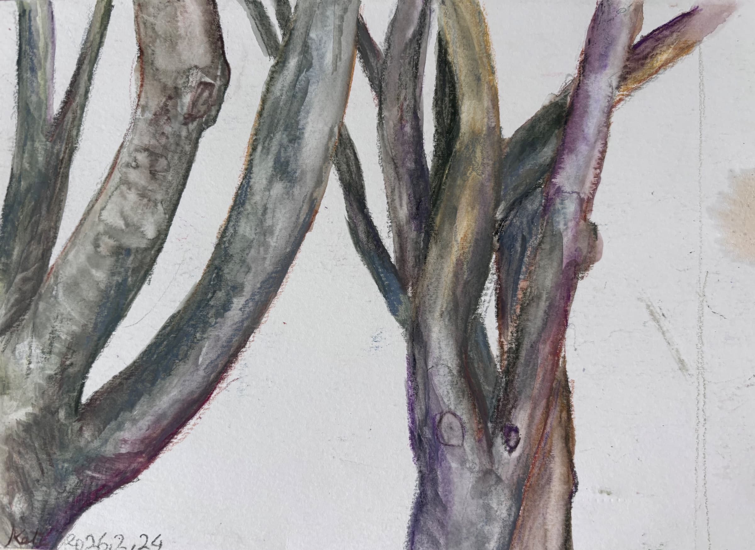 The tree branches